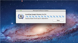 Installing Updates 